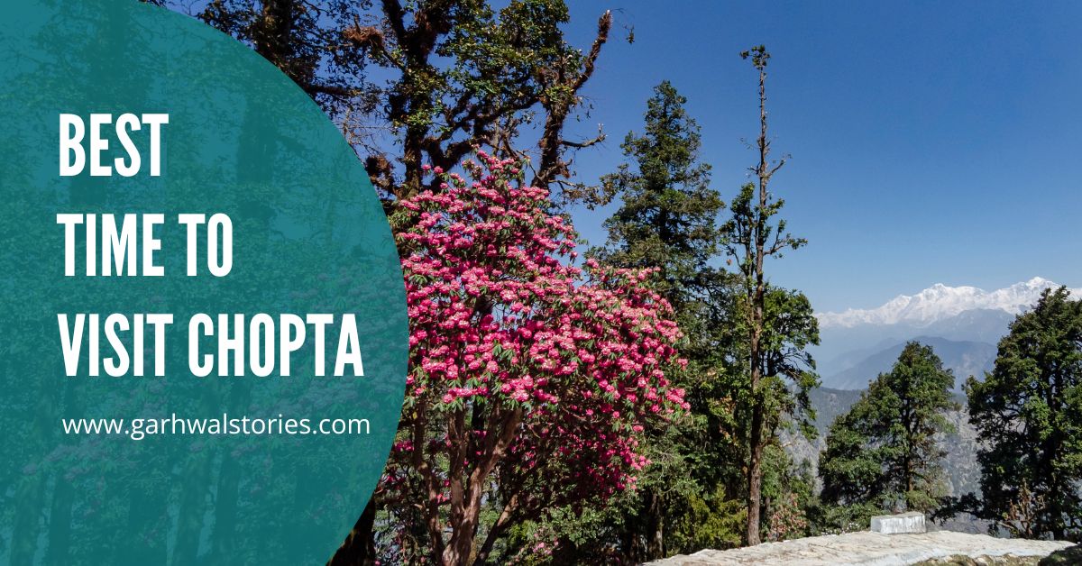 Best Time to Visit Chopta